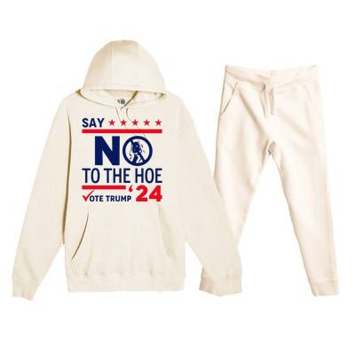 Say No The Hoe Vote Trump 2024 Premium Hooded Sweatsuit Set