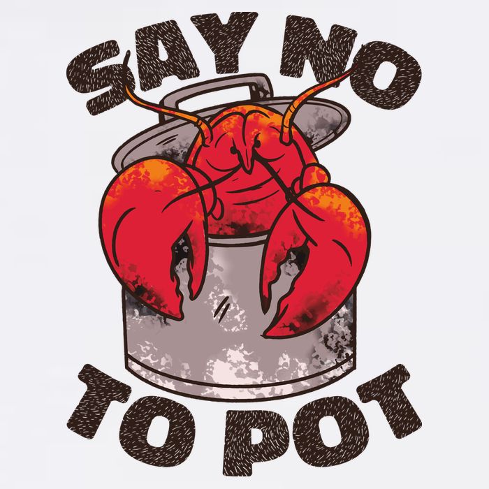 Say No To Pot Funny Wool Snapback Cap