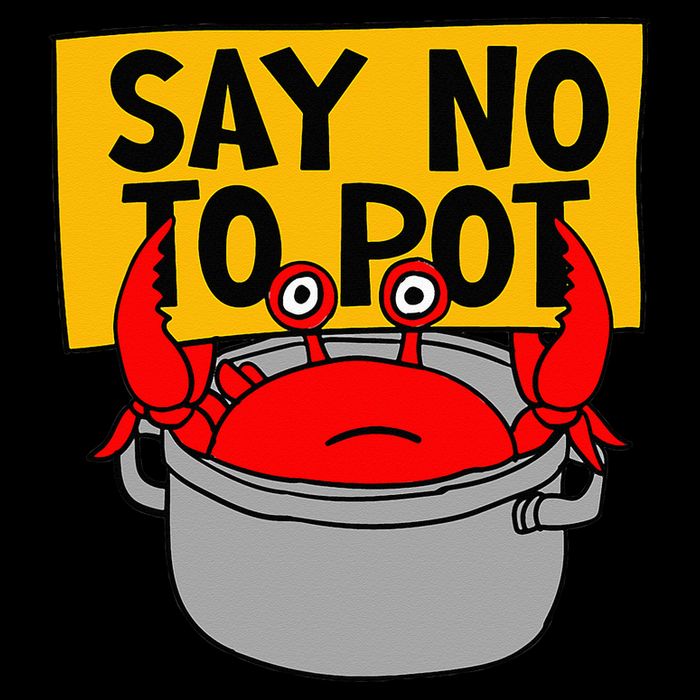 Say No To Pot Funny Crab Eater Seafood Lover Crab Boil Sustainable Bucket Hat
