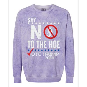 Say No To The Hoe Vote Trump Colorblast Crewneck Sweatshirt