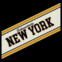 Schenectady New York Varsity Logo Pom Pom 12in Knit Beanie