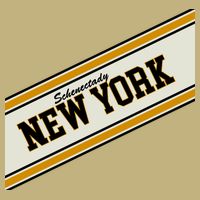 Schenectady New York Varsity Logo Hoodie