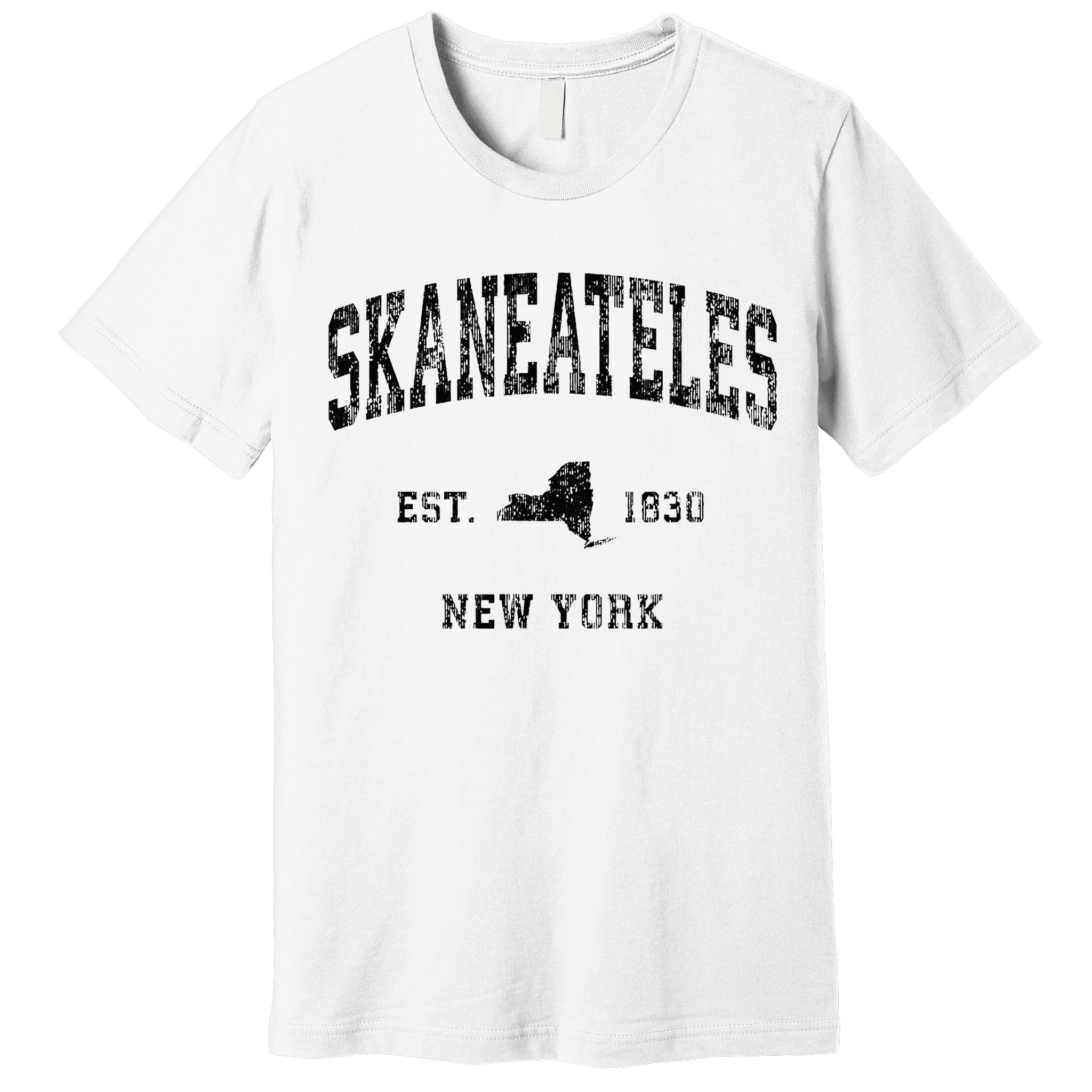 Skaneateles New York Ny Vintage Athletic Black Sports Design Premium T-Shirt
