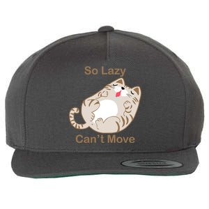 So Lazy Can't Move Funny Fat Cat Wool Snapback Cap