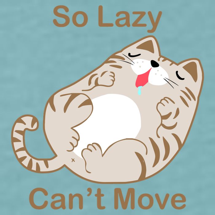 So Lazy Can't Move Funny Fat Cat Sueded Cloud Jersey T-Shirt