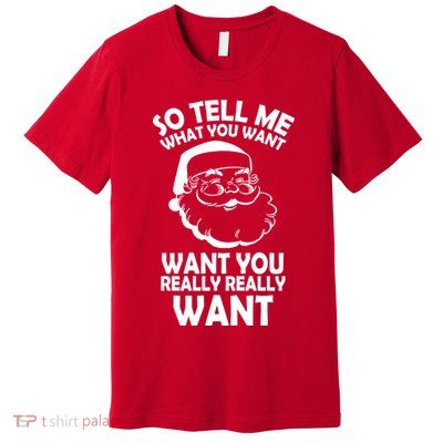 So Tell Me What You Want Funny Santa` Premium T-Shirt