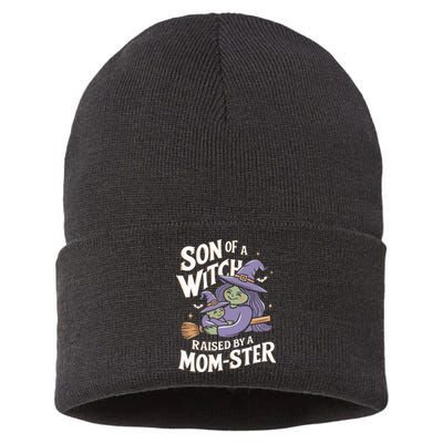 Son Of A Witch Raised By A Mom Ster Mom And Son Halloween Sustainable Knit Beanie