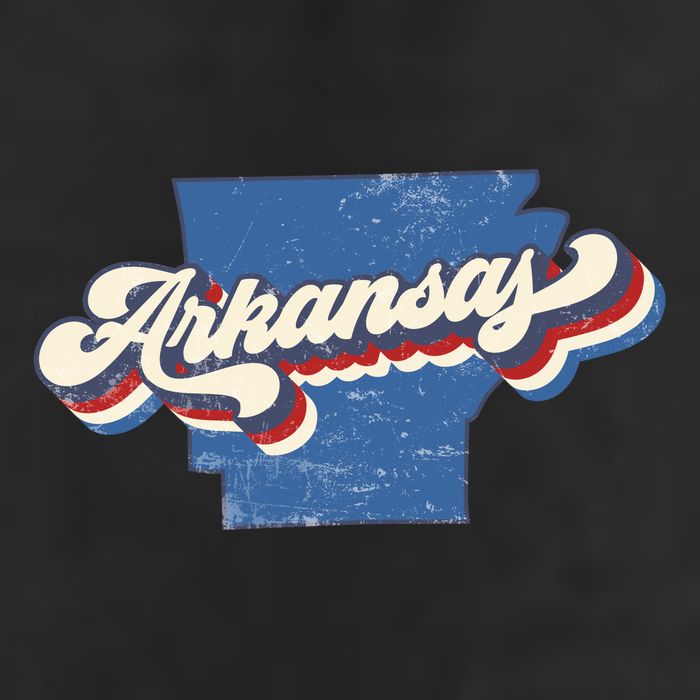 State Of Arkansas Retro Logo Garment-Dyed Heavyweight T-Shirt