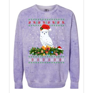 Snowy Owl Bird Lover Xmas Santa Hat Ugly Snowy Owl Christmas Cute Gift Colorblast Crewneck Sweatshirt