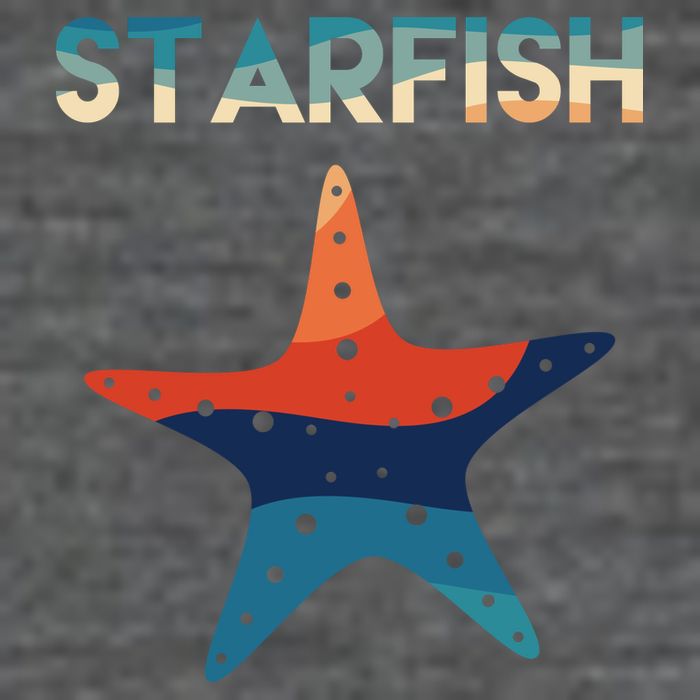 Starfish Ocean Beach Premium T-Shirt