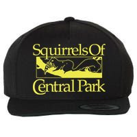 Squirrels Of Central Park Wool Snapback Cap