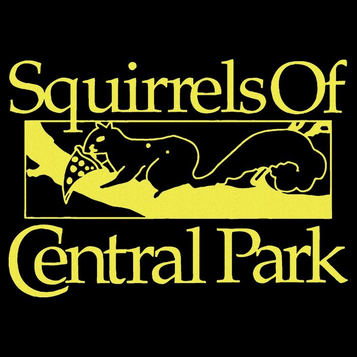 Squirrels Of Central Park Wool Snapback Cap