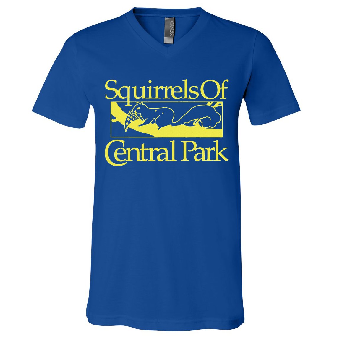 Squirrels Of Central Park V-Neck T-Shirt