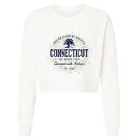 State Of Connecticut Vintage Retro Connecticut Cropped Pullover Crew