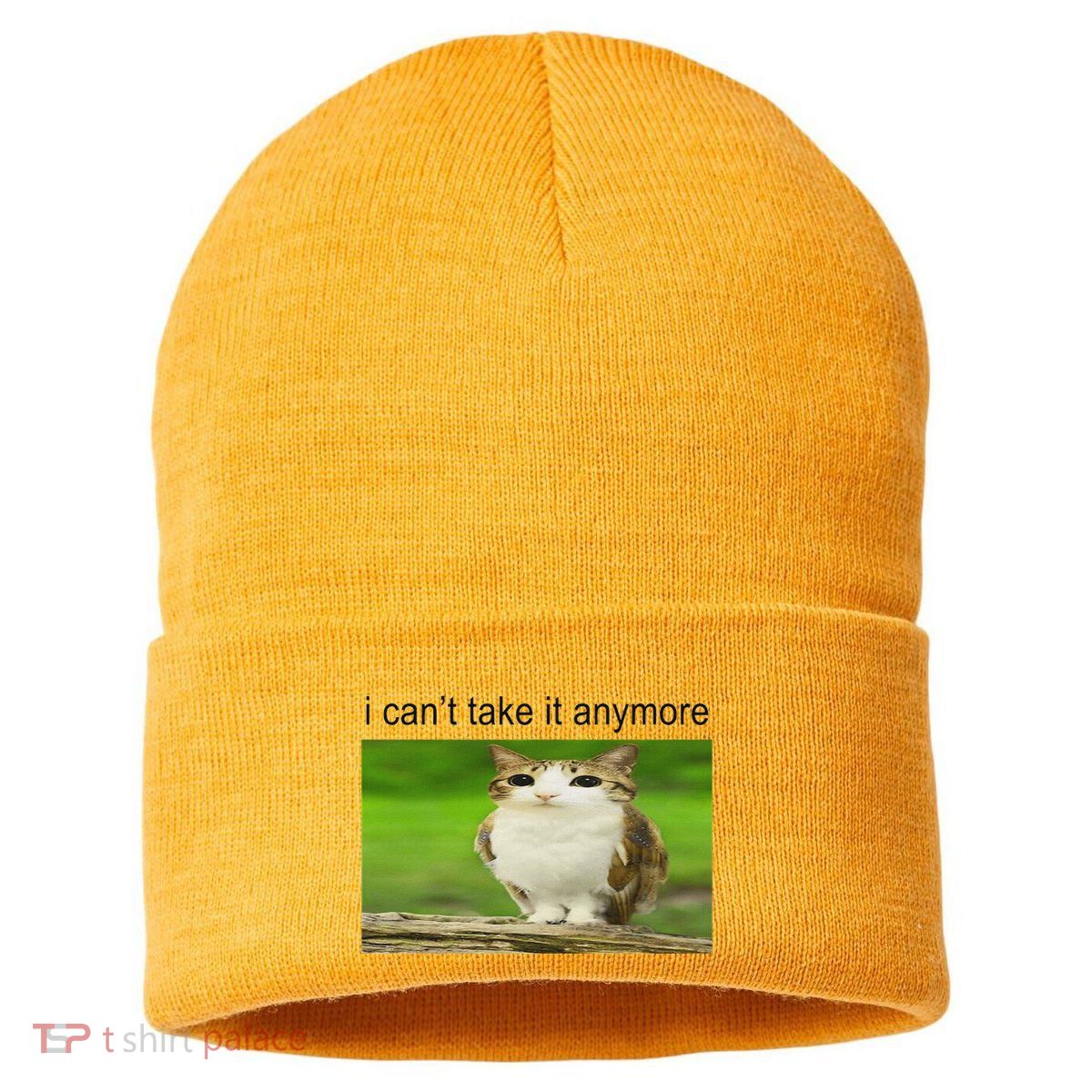 Silly Owl Cat Meme I CanT Take It Anymore Sustainable Knit Beanie