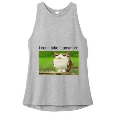Silly Owl Cat Meme I CanT Take It Anymore Ladies PosiCharge Tri-Blend Wicking Tank