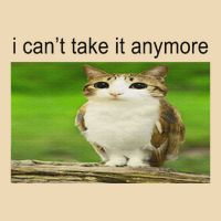 Silly Owl Cat Meme I CanT Take It Anymore Drawstring Bag