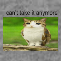 Silly Owl Cat Meme I CanT Take It Anymore 7-Panel Snapback Hat