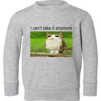 Silly Owl Cat Meme I CanT Take It Anymore Toddler Sweatshirt