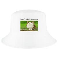 Silly Owl Cat Meme I CanT Take It Anymore Cool Comfort Performance Bucket Hat