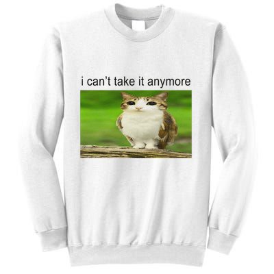 Silly Owl Cat Meme I CanT Take It Anymore Sweatshirt