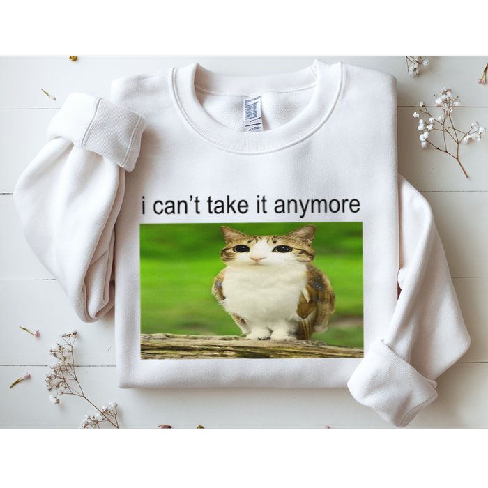 Silly Owl Cat Meme I CanT Take It Anymore Sweatshirt