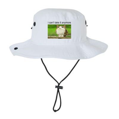 Silly Owl Cat Meme I CanT Take It Anymore Bucket Hat