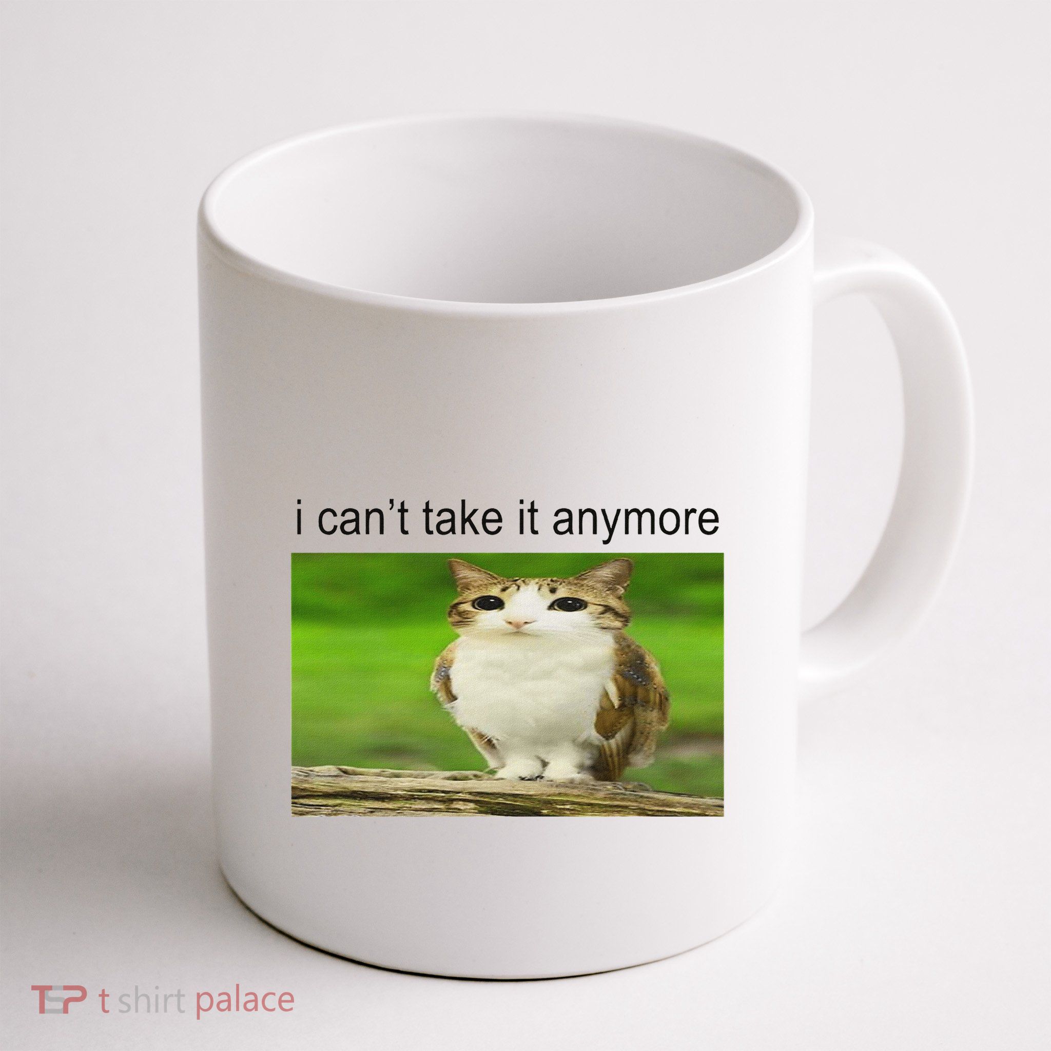 Silly Owl Cat Meme I CanT Take It Anymore Mug