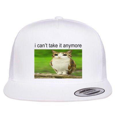Silly Owl Cat Meme I CanT Take It Anymore Flatbill Hat