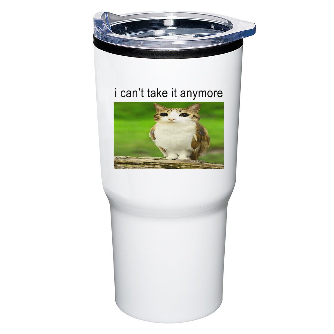 Silly Owl Cat Meme I CanT Take It Anymore Tumbler