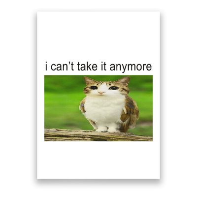 Silly Owl Cat Meme I CanT Take It Anymore Poster