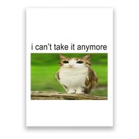 Silly Owl Cat Meme I CanT Take It Anymore Poster