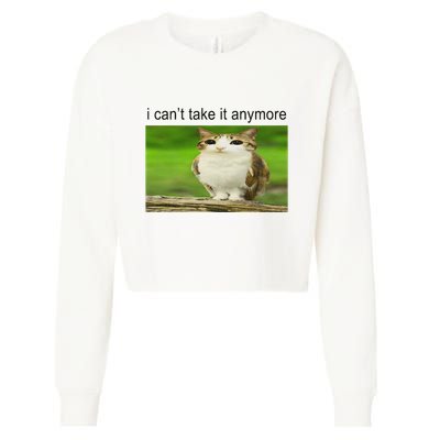 Silly Owl Cat Meme I CanT Take It Anymore Cropped Pullover Crew