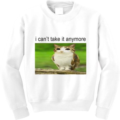 Silly Owl Cat Meme I CanT Take It Anymore Kids Sweatshirt