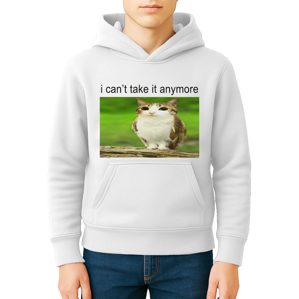 Silly Owl Cat Meme I CanT Take It Anymore Kids Hoodie