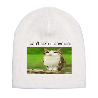 Silly Owl Cat Meme I CanT Take It Anymore Short Acrylic Beanie