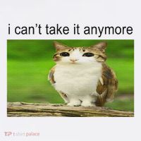 Silly Owl Cat Meme I CanT Take It Anymore Short Acrylic Beanie