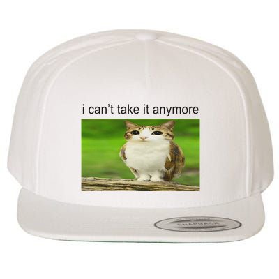 Silly Owl Cat Meme I CanT Take It Anymore Wool Snapback Cap