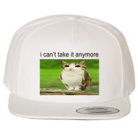 Silly Owl Cat Meme I CanT Take It Anymore Wool Snapback Cap