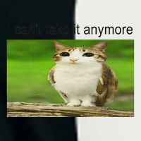 Silly Owl Cat Meme I CanT Take It Anymore Infant Baby Jersey Bodysuit