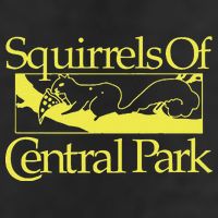 Squirrels Of Central Park 25L Jumbo Tote