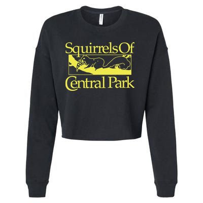 Squirrels Of Central Park Cropped Pullover Crew