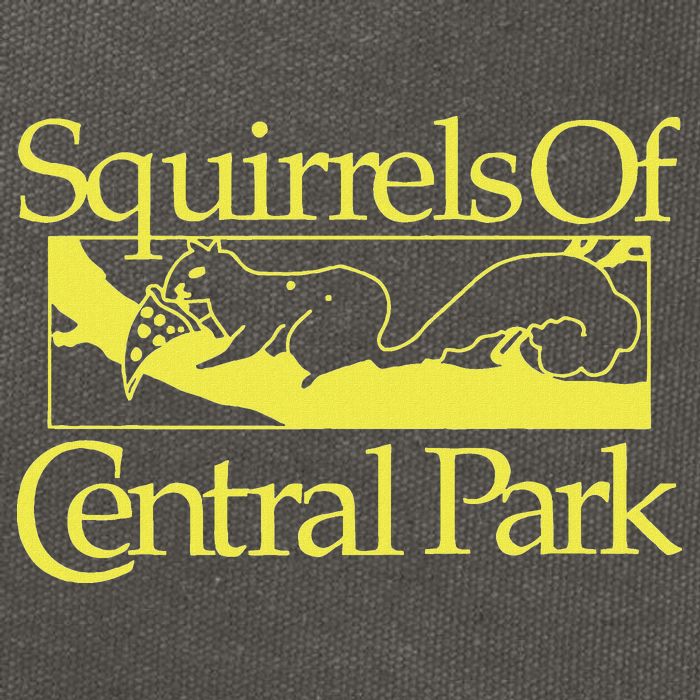 Squirrels Of Central Park Cotton Canvas Backpack
