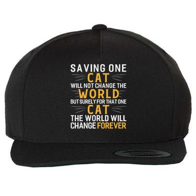 Saving One Cat Will Not Change The World Animal Rescue Wool Snapback Cap