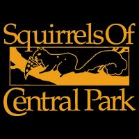Squirrels Of Central Park Hoodie