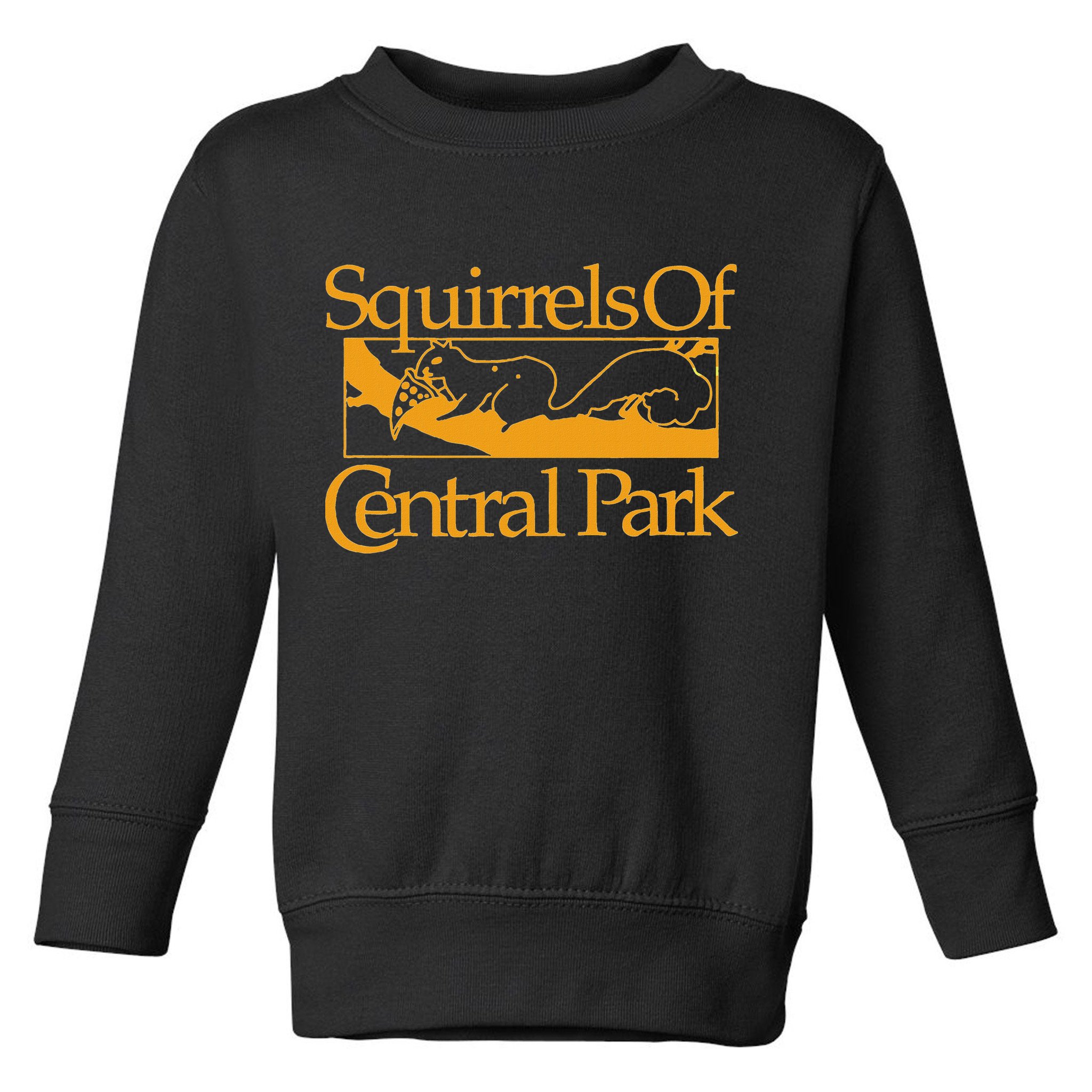 Squirrels Of Central Park Toddler Sweatshirt