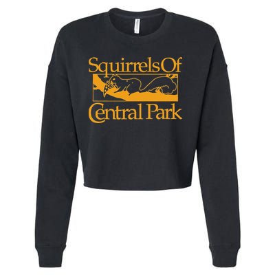 Squirrels Of Central Park Cropped Pullover Crew