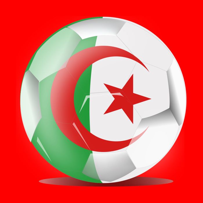 Soccer Ball Country Flag Algeria Button