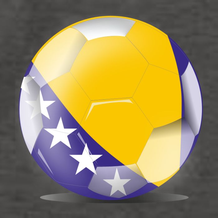 Soccer Ball Country Flag Bosnia Herzegovina Vector Backpack