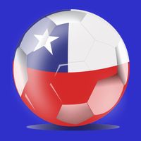 Soccer Ball Country Flag Chile Zip Tote Bag